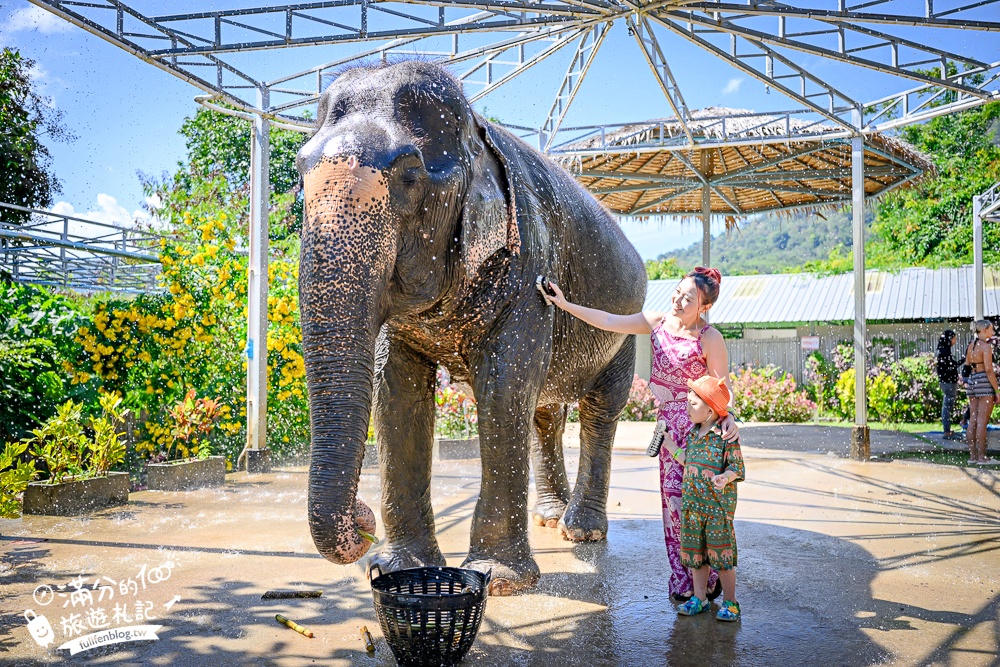 普吉島必玩【普吉島大象叢林保護區】來場與大象的溫柔相遇,幫大象洗澡戲水,餵大象吃香蕉.甘蔗和手作飯糰! 普吉島必玩【普吉島大象叢林保護區】來場與大象的溫柔相遇,幫大象洗澡戲水,餵大象吃香蕉.甘蔗和手作飯糰!