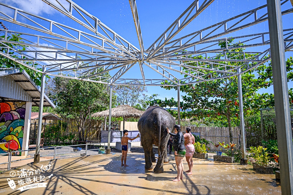 普吉島必玩【普吉島大象叢林保護區】來場與大象的溫柔相遇,幫大象洗澡戲水,餵大象吃香蕉.甘蔗和手作飯糰! 普吉島必玩【普吉島大象叢林保護區】來場與大象的溫柔相遇,幫大象洗澡戲水,餵大象吃香蕉.甘蔗和手作飯糰!