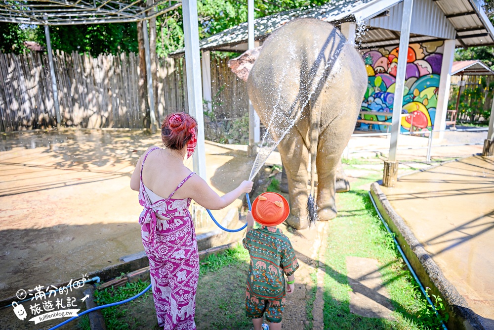 普吉島必玩【普吉島大象叢林保護區】來場與大象的溫柔相遇,幫大象洗澡戲水,餵大象吃香蕉.甘蔗和手作飯糰! 普吉島必玩【普吉島大象叢林保護區】來場與大象的溫柔相遇,幫大象洗澡戲水,餵大象吃香蕉.甘蔗和手作飯糰!