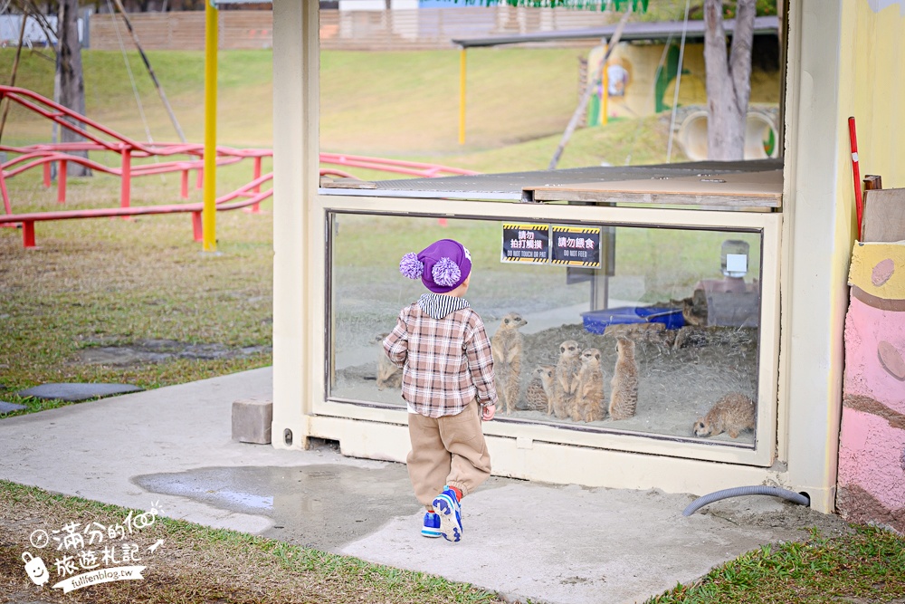 台中【美樂地親子農場】后里最新親子農場.居然座落在樂園裡面,玩樂園也能看萌寵好特別! 台中【美樂地親子農場】后里最新親子農場.居然座落在樂園裡面,玩樂園也能看萌寵好特別!