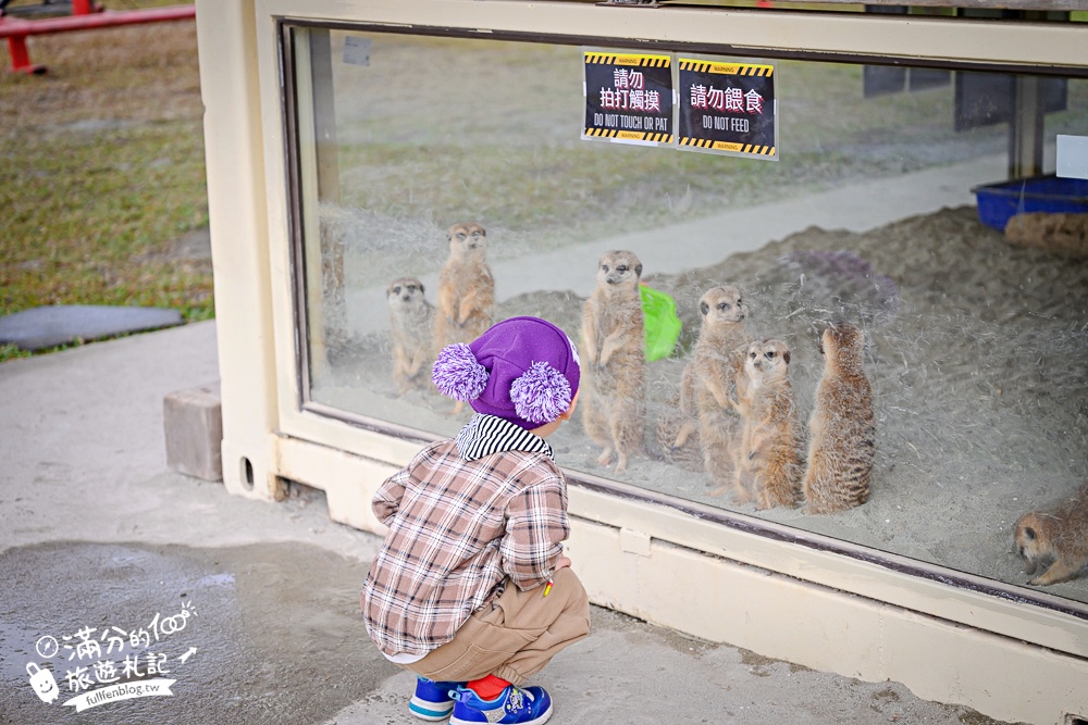 台中【美樂地親子農場】后里最新親子農場.居然座落在樂園裡面,玩樂園也能看萌寵好特別! 台中【美樂地親子農場】后里最新親子農場.居然座落在樂園裡面,玩樂園也能看萌寵好特別!