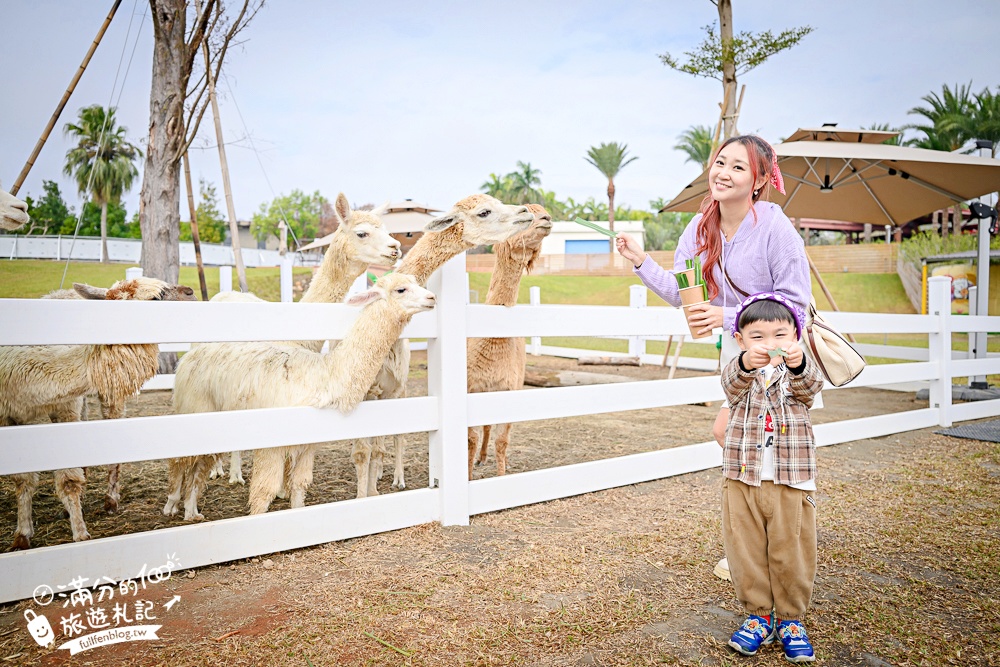 台中【美樂地親子農場】后里最新親子農場.居然座落在樂園裡面,玩樂園也能看萌寵好特別! 台中【美樂地親子農場】后里最新親子農場.居然座落在樂園裡面,玩樂園也能看萌寵好特別!