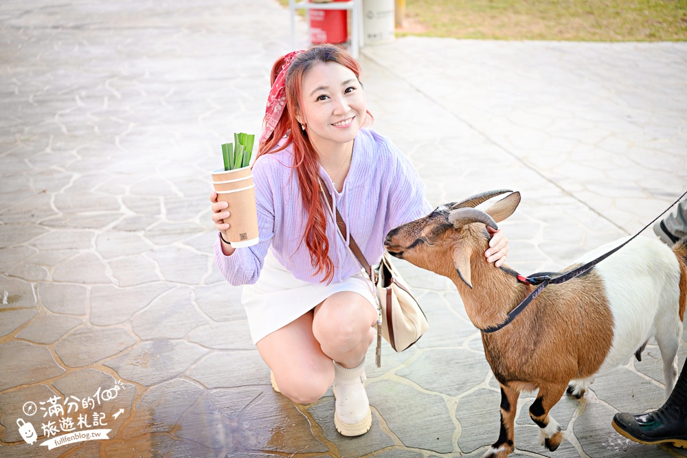 台中【美樂地親子農場】后里最新親子農場.居然座落在樂園裡面,玩樂園也能看萌寵好特別! 台中【美樂地親子農場】后里最新親子農場.居然座落在樂園裡面,玩樂園也能看萌寵好特別!