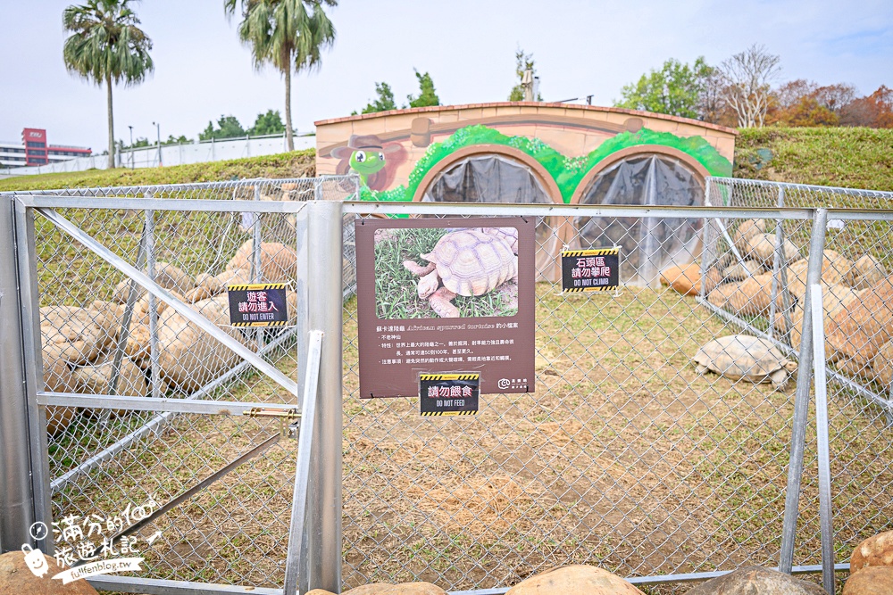 台中【美樂地親子農場】后里最新親子農場.居然座落在樂園裡面,玩樂園也能看萌寵好特別! 台中【美樂地親子農場】后里最新親子農場.居然座落在樂園裡面,玩樂園也能看萌寵好特別!