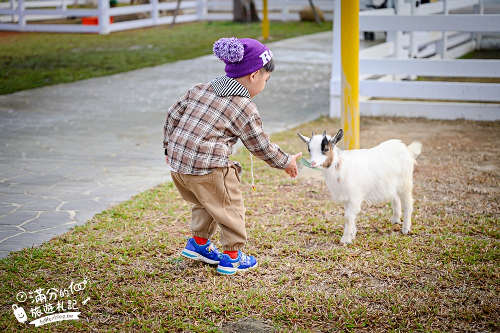 台中【美樂地親子農場】后里最新親子農場.居然座落在樂園裡面,玩樂園也能看萌寵好特別! 台中【美樂地親子農場】后里最新親子農場.居然座落在樂園裡面,玩樂園也能看萌寵好特別!