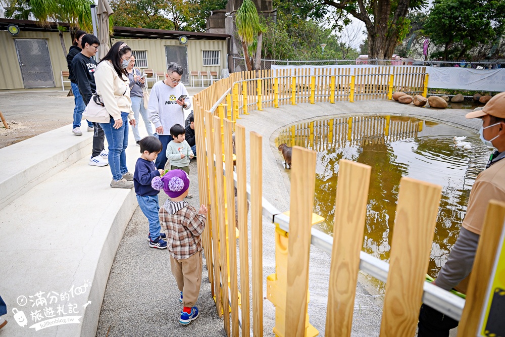 台中【美樂地親子農場】后里最新親子農場.居然座落在樂園裡面,玩樂園也能看萌寵好特別! 台中【美樂地親子農場】后里最新親子農場.居然座落在樂園裡面,玩樂園也能看萌寵好特別!