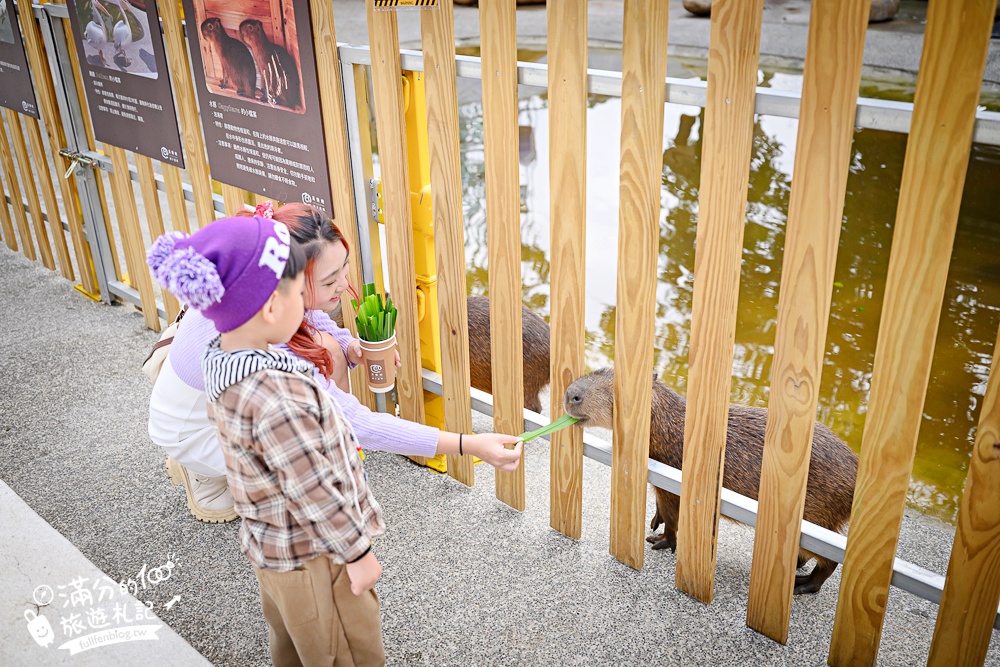 台中【美樂地親子農場】后里最新親子農場.居然座落在樂園裡面,玩樂園也能看萌寵好特別! 台中【美樂地親子農場】后里最新親子農場.居然座落在樂園裡面,玩樂園也能看萌寵好特別!