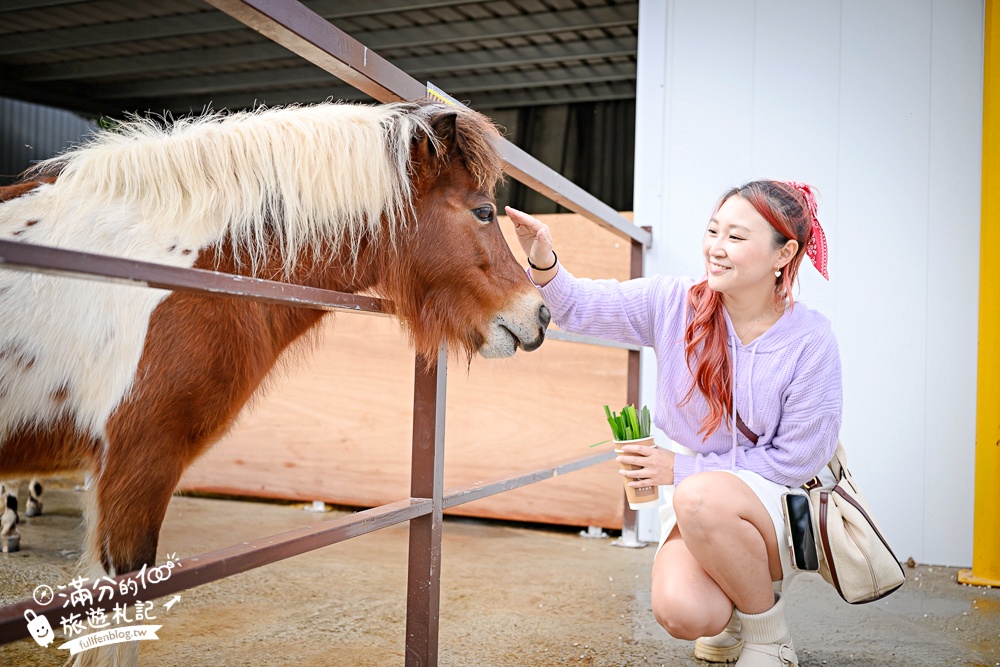 台中【美樂地親子農場】后里最新親子農場.居然座落在樂園裡面,玩樂園也能看萌寵好特別! 台中【美樂地親子農場】后里最新親子農場.居然座落在樂園裡面,玩樂園也能看萌寵好特別!