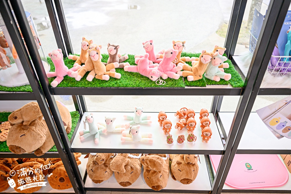 台中【美樂地親子農場】后里最新親子農場.居然座落在樂園裡面,玩樂園也能看萌寵好特別! 台中【美樂地親子農場】后里最新親子農場.居然座落在樂園裡面,玩樂園也能看萌寵好特別!