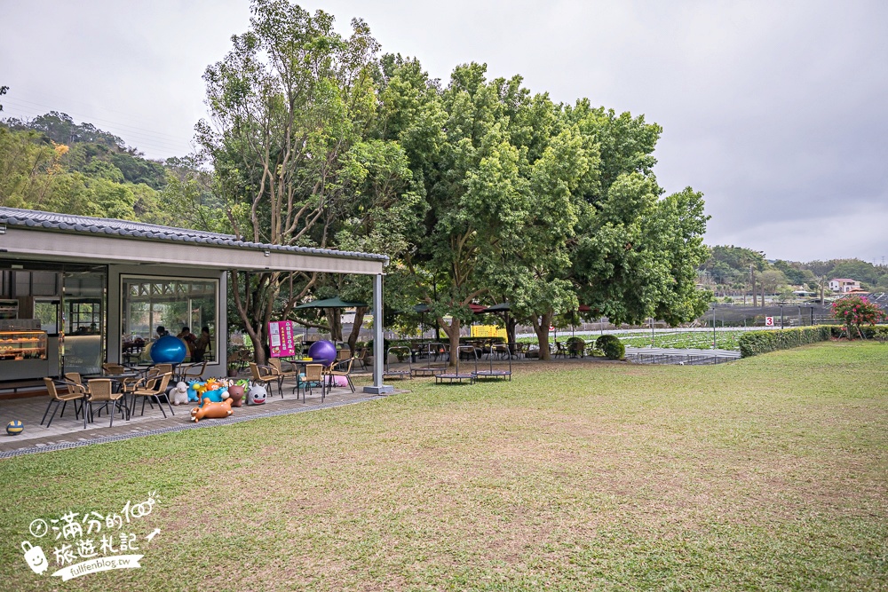 苗栗【興品園草莓農場】這不僅是高架親子草莓園.根本是兒童遊戲場,免費玩不限時,還有玻璃屋咖啡館~超狂!