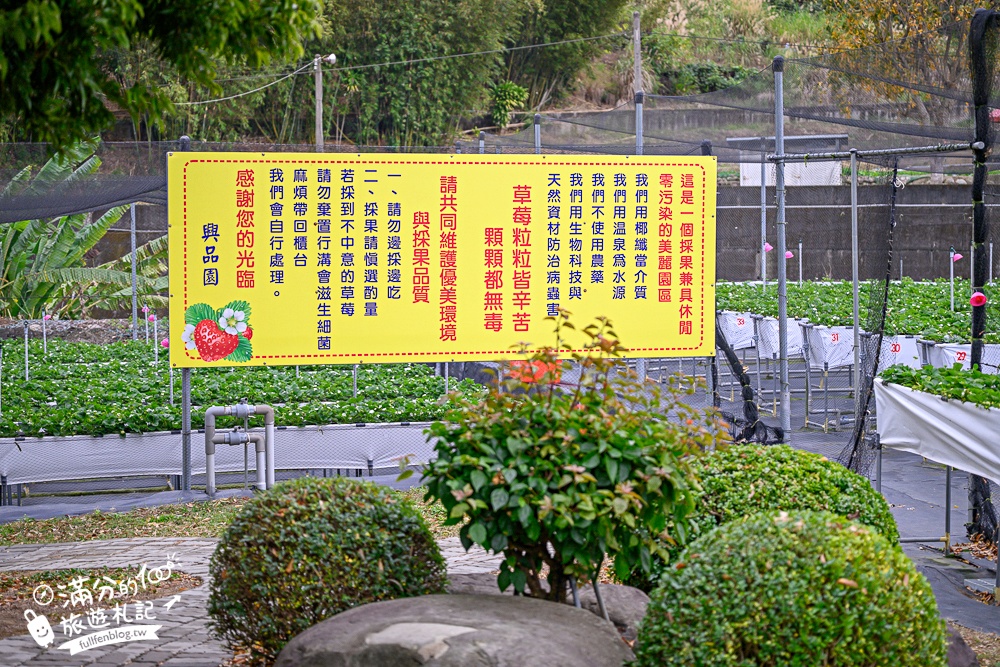 苗栗【興品園草莓農場】這不僅是高架親子草莓園.根本是兒童遊戲場,免費玩不限時,還有玻璃屋咖啡館~超狂!
