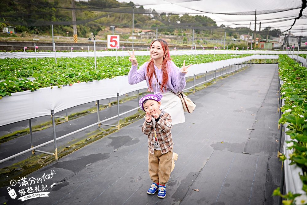 苗栗【興品園草莓農場】這不僅是高架親子草莓園.根本是兒童遊戲場,免費玩不限時,還有玻璃屋咖啡館~超狂!