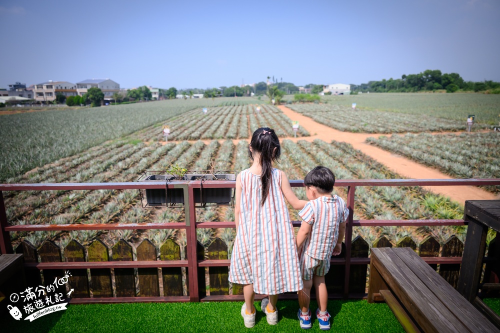 嘉義民雄景點【旺萊山鳳梨文化園區】免門票鳳梨觀光工廠,整顆鳳梨酥免費吃,漫步在700公頃的鳳梨田裡