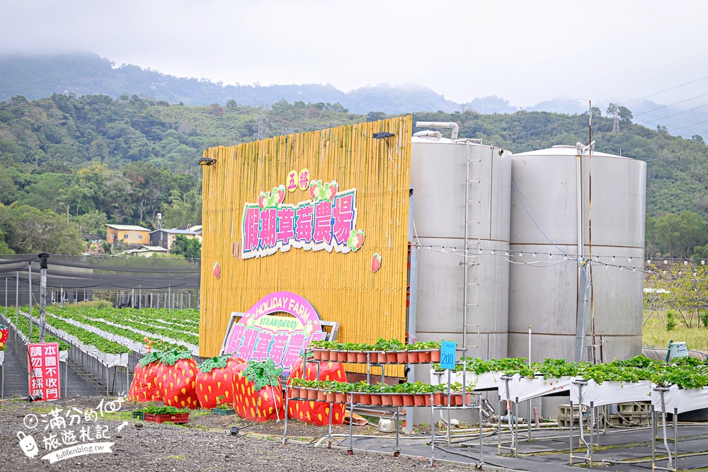 苗栗【五將假期草莓】大湖高架草莓園推薦.大顆紅寶石這裡吃,還有草莓王可以拍美照! 苗栗【五將假期草莓】大湖高架草莓園推薦.大顆紅寶石這裡吃,還有草莓王可以拍美照!