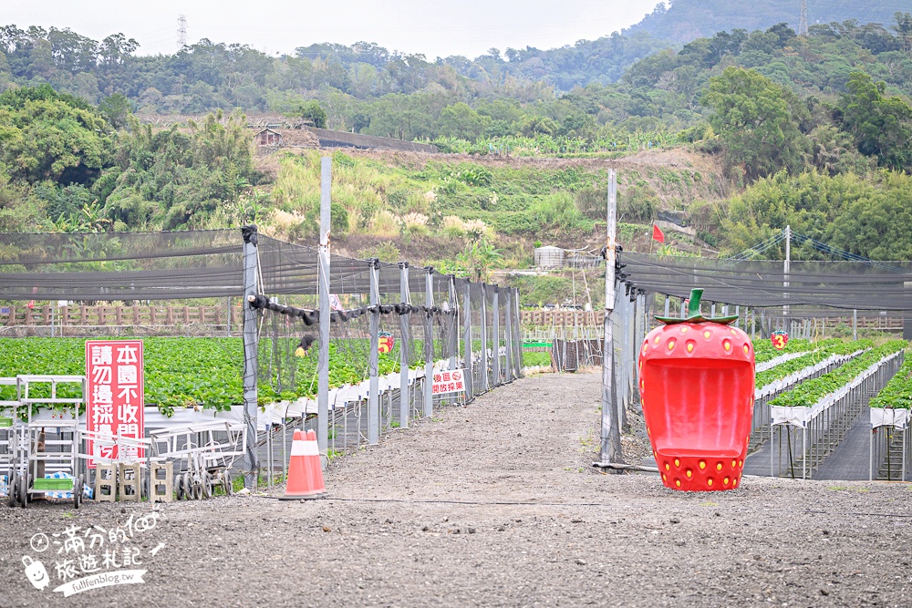 苗栗【五將假期草莓】大湖高架草莓園推薦.大顆紅寶石這裡吃,還有草莓王可以拍美照! 苗栗【五將假期草莓】大湖高架草莓園推薦.大顆紅寶石這裡吃,還有草莓王可以拍美照!