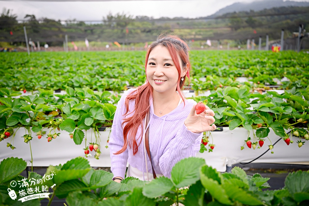 苗栗【五將假期草莓】大湖高架草莓園推薦.大顆紅寶石這裡吃,還有草莓王可以拍美照! 苗栗【五將假期草莓】大湖高架草莓園推薦.大顆紅寶石這裡吃,還有草莓王可以拍美照!