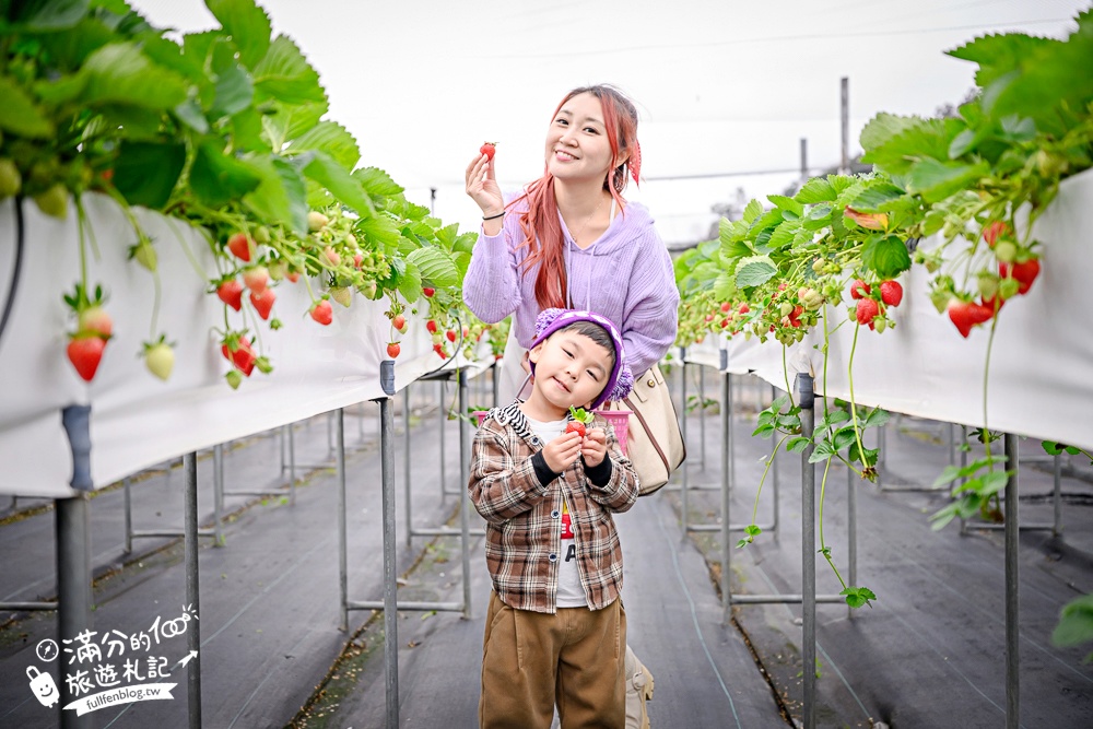 苗栗【五將假期草莓】大湖高架草莓園推薦.大顆紅寶石這裡吃,還有草莓王可以拍美照! 苗栗【五將假期草莓】大湖高架草莓園推薦.大顆紅寶石這裡吃,還有草莓王可以拍美照!
