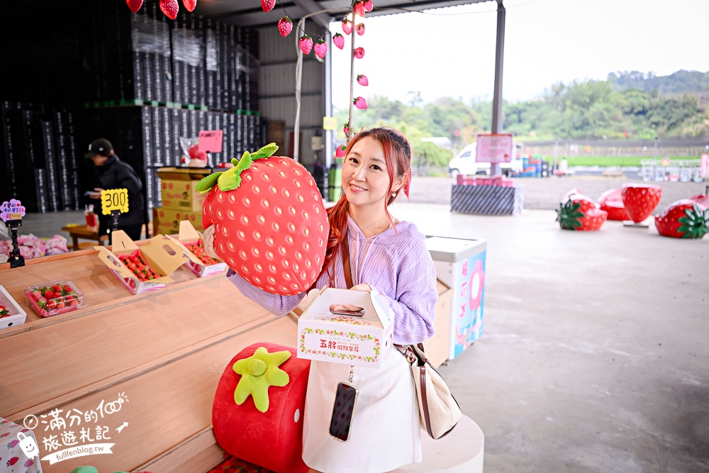苗栗【五將假期草莓】大湖高架草莓園推薦.大顆紅寶石這裡吃,還有草莓王可以拍美照! 苗栗【五將假期草莓】大湖高架草莓園推薦.大顆紅寶石這裡吃,還有草莓王可以拍美照!