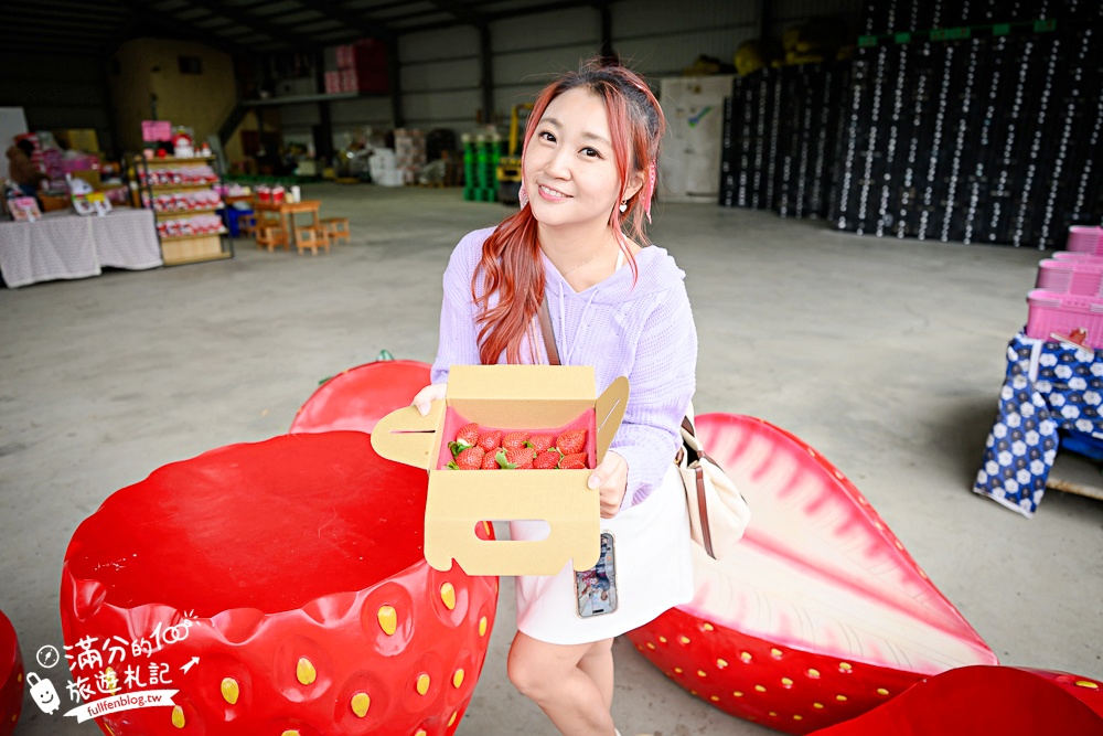 苗栗【五將假期草莓】大湖高架草莓園推薦.大顆紅寶石這裡吃,還有草莓王可以拍美照! 苗栗【五將假期草莓】大湖高架草莓園推薦.大顆紅寶石這裡吃,還有草莓王可以拍美照!