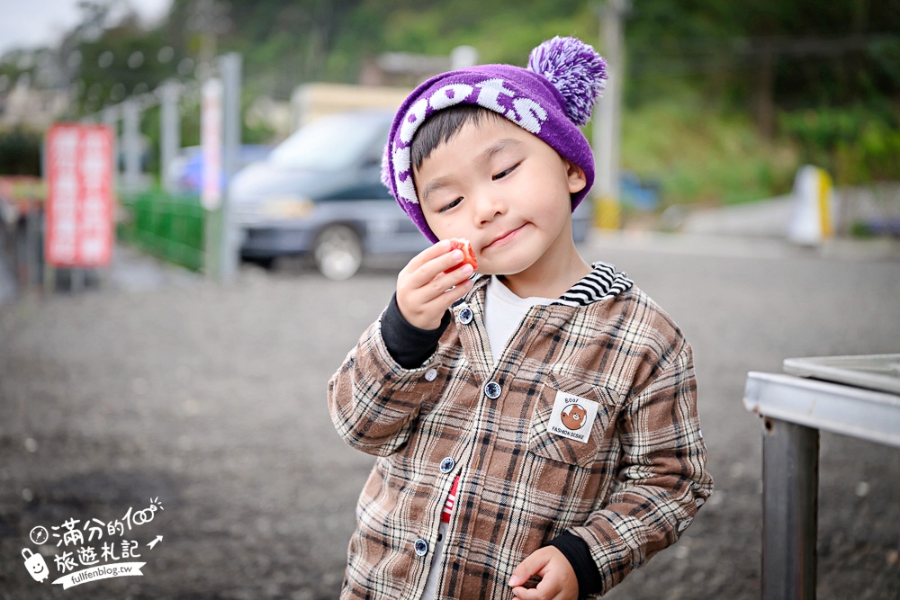 苗栗【五將假期草莓】大湖高架草莓園推薦.大顆紅寶石這裡吃,還有草莓王可以拍美照! 苗栗【五將假期草莓】大湖高架草莓園推薦.大顆紅寶石這裡吃,還有草莓王可以拍美照!