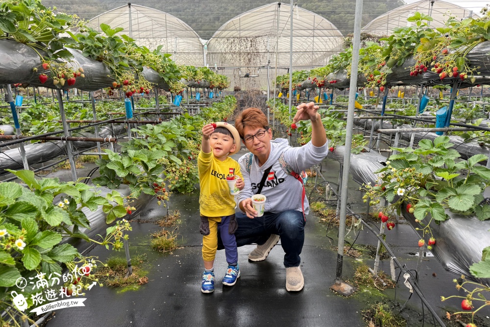 南投埔里【台一生態休閒農場】水上愛心落羽松秘境.彩虹屋,親子情侶約會浪漫花園!