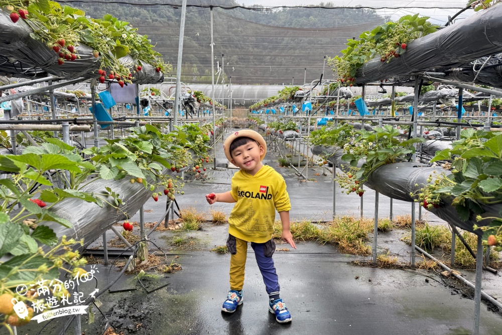 南投埔里【台一生態休閒農場】水上愛心落羽松秘境.彩虹屋,親子情侶約會浪漫花園!