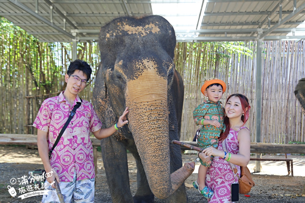 普吉島必玩【普吉島大象叢林保護區】來場與大象的溫柔相遇,幫大象洗澡戲水,餵大象吃香蕉.甘蔗和手作飯糰! 普吉島必玩【普吉島大象叢林保護區】來場與大象的溫柔相遇,幫大象洗澡戲水,餵大象吃香蕉.甘蔗和手作飯糰!