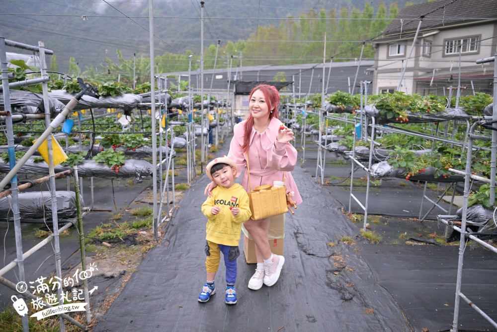 南投埔里【台一生態休閒農場】水上愛心落羽松秘境.彩虹屋,親子情侶約會浪漫花園!