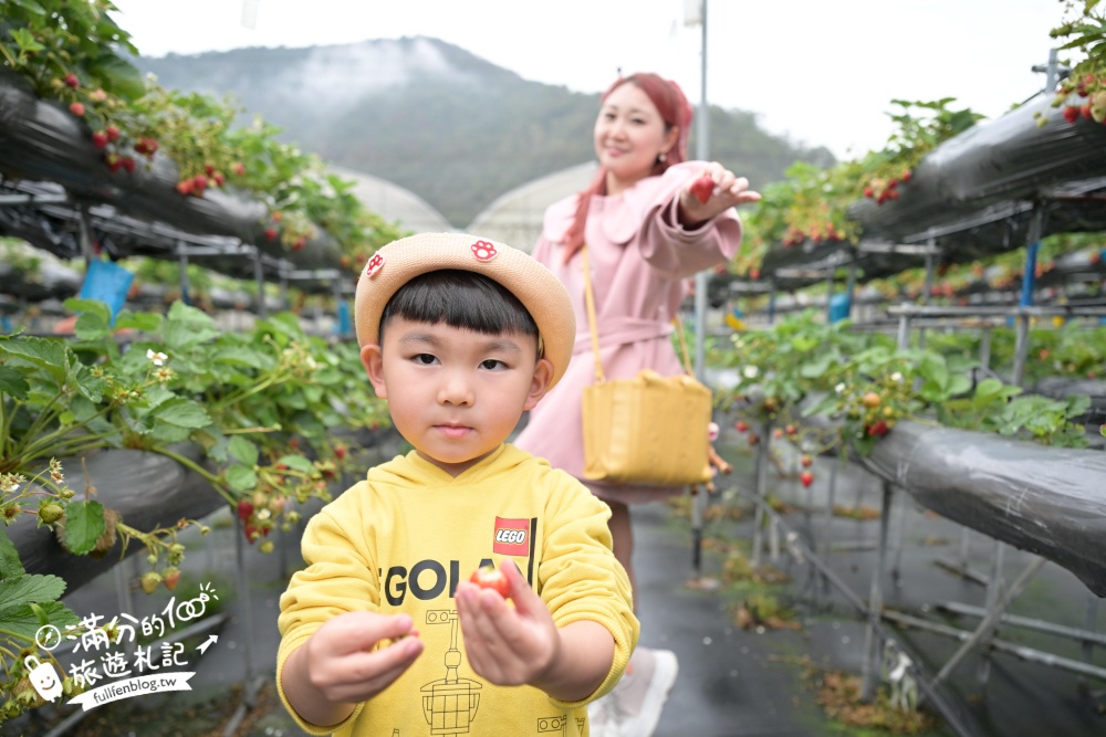 南投埔里【台一生態休閒農場】水上愛心落羽松秘境.彩虹屋,親子情侶約會浪漫花園!