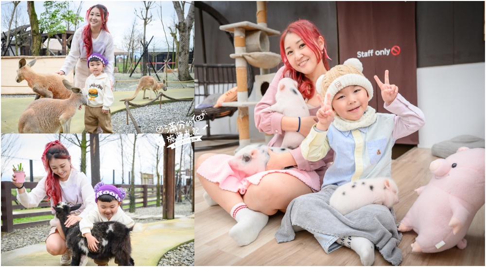 延伸閱讀：【2026蘭陽動植物王國最新場域玩樂攻略】TOP10必玩主題推薦.茶杯小豬互動.澳洲袋鼠.大白鵜鶘.巨嘴鳥.泰迪羊通通可以互動餵食,還能玩手作划船超特別!