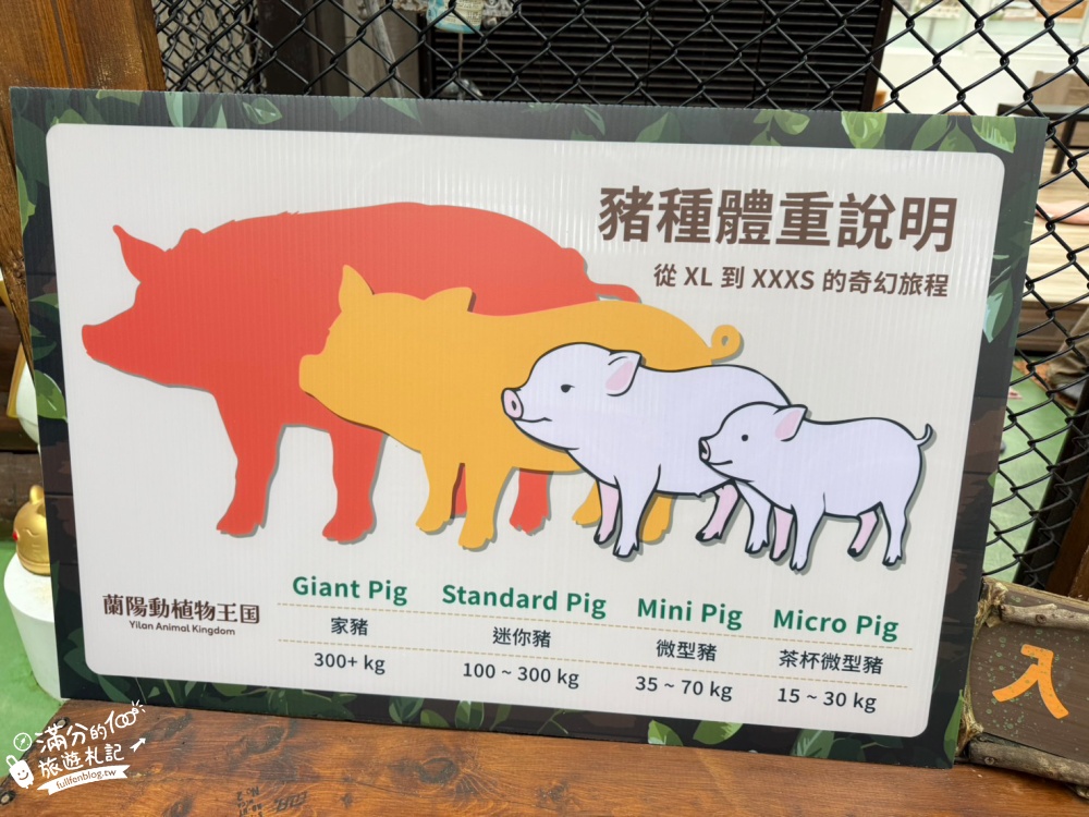 【2026蘭陽動植物王國最新場域玩樂攻略】TOP10必玩主題推薦.茶杯小豬互動.澳洲袋鼠.大白鵜鶘.巨嘴鳥.泰迪羊通通可以互動餵食,還能玩手作划船超特別!
