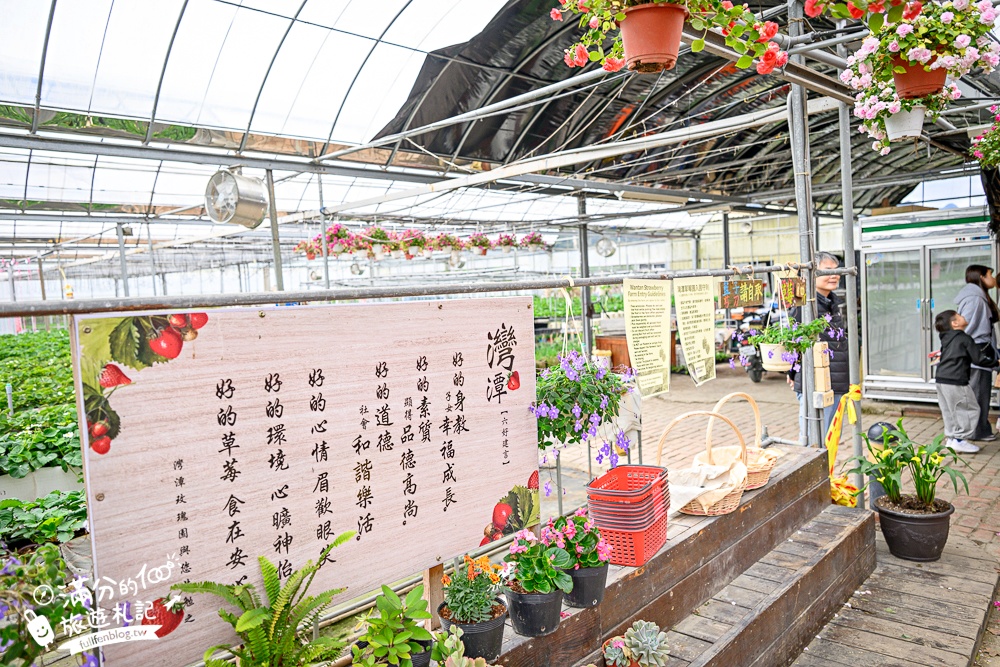 苗栗【灣潭玫瑰草莓園】大湖親子草莓園推薦,苗栗最大規模溫室高架草莓園.還能玩草莓醬手作DIY!