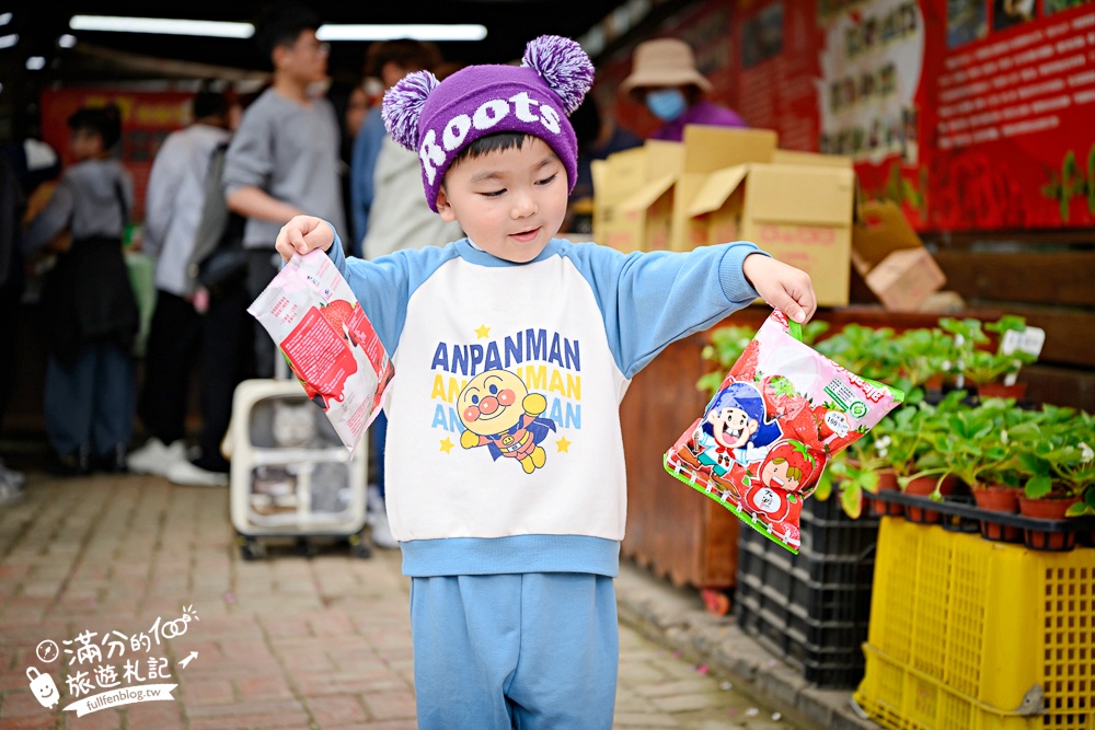 苗栗【灣潭玫瑰草莓園】大湖親子草莓園推薦,苗栗最大規模溫室高架草莓園.還能玩草莓醬手作DIY!