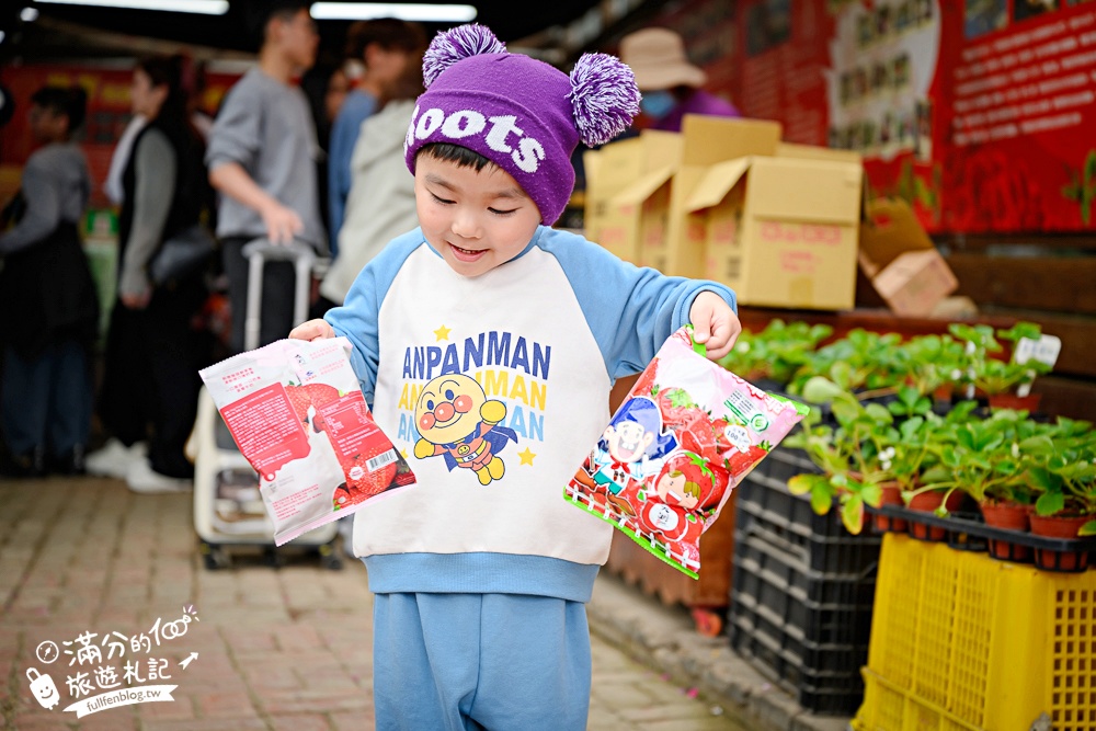 苗栗【灣潭玫瑰草莓園】大湖親子草莓園推薦,苗栗最大規模溫室高架草莓園.還能玩草莓醬手作DIY!