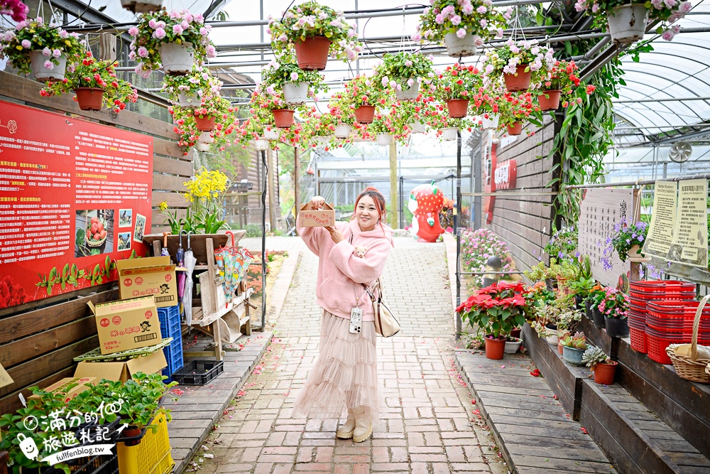 苗栗【灣潭玫瑰草莓園】大湖親子草莓園推薦,苗栗最大規模溫室高架草莓園.還能玩草莓醬手作DIY!