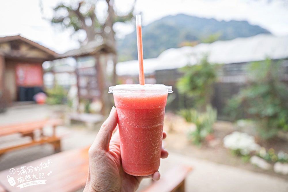 苗栗【灣潭玫瑰草莓園】大湖親子草莓園推薦,苗栗最大規模溫室高架草莓園.還能玩草莓醬手作DIY!