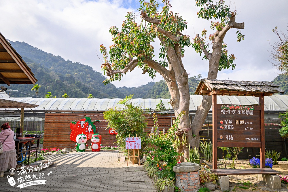 苗栗【灣潭玫瑰草莓園】大湖親子草莓園推薦,苗栗最大規模溫室高架草莓園.還能玩草莓醬手作DIY!