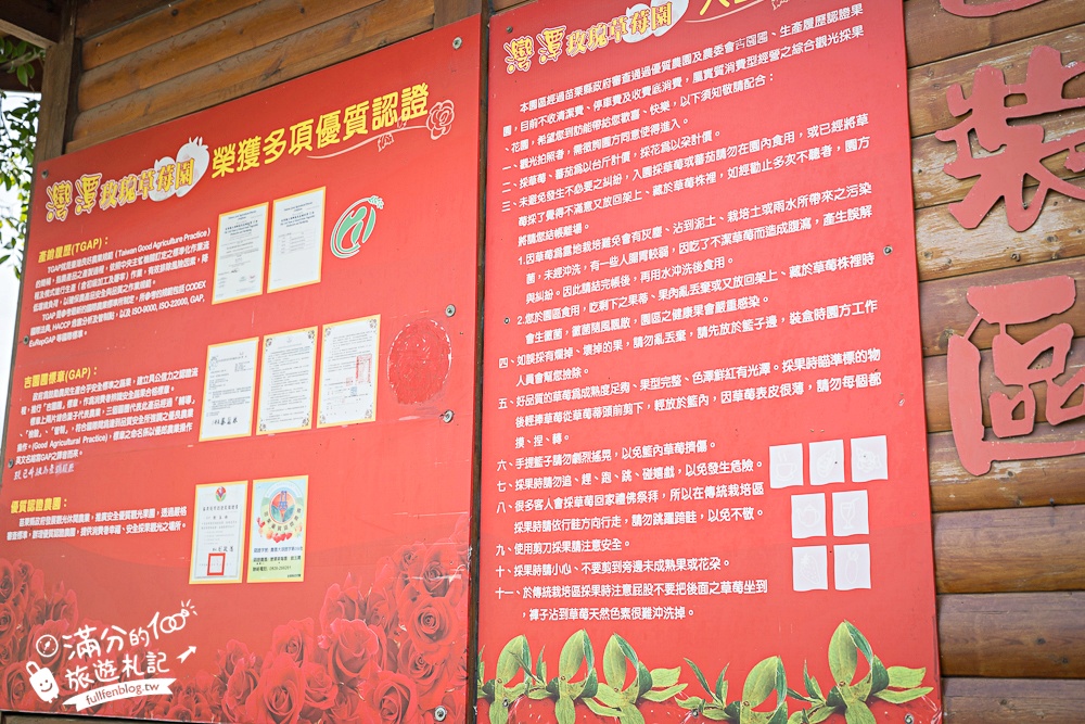 苗栗【灣潭玫瑰草莓園】大湖親子草莓園推薦,苗栗最大規模溫室高架草莓園.還能玩草莓醬手作DIY!