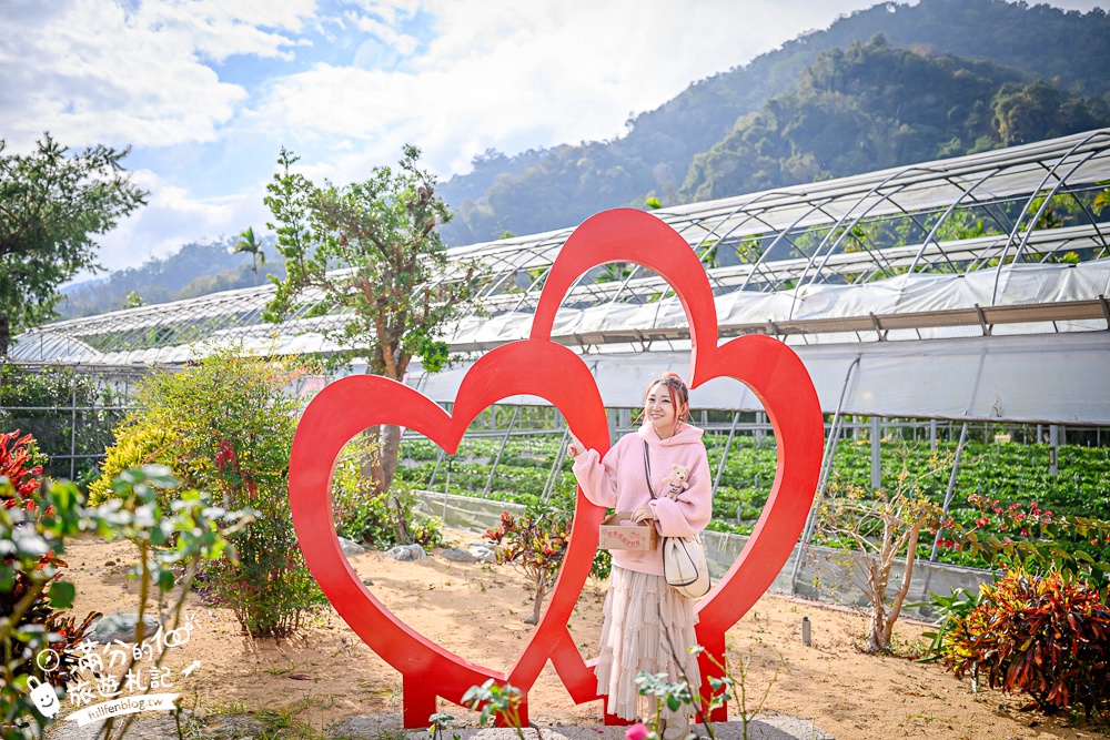 苗栗【灣潭玫瑰草莓園】大湖親子草莓園推薦,苗栗最大規模溫室高架草莓園.還能玩草莓醬手作DIY!