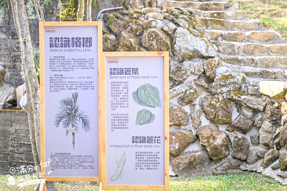 南投新景點【壹玖陸貳藝空間】臺灣檳榔文化特展.全新老屋藝術空間,走老宅,看特展,品嚐檳榔樹下的咖啡香!