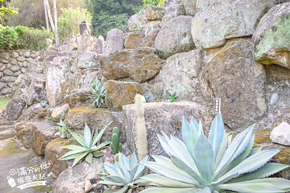 南投新景點【壹玖陸貳藝空間】臺灣檳榔文化特展.全新老屋藝術空間,走老宅,看特展,品嚐檳榔樹下的咖啡香!