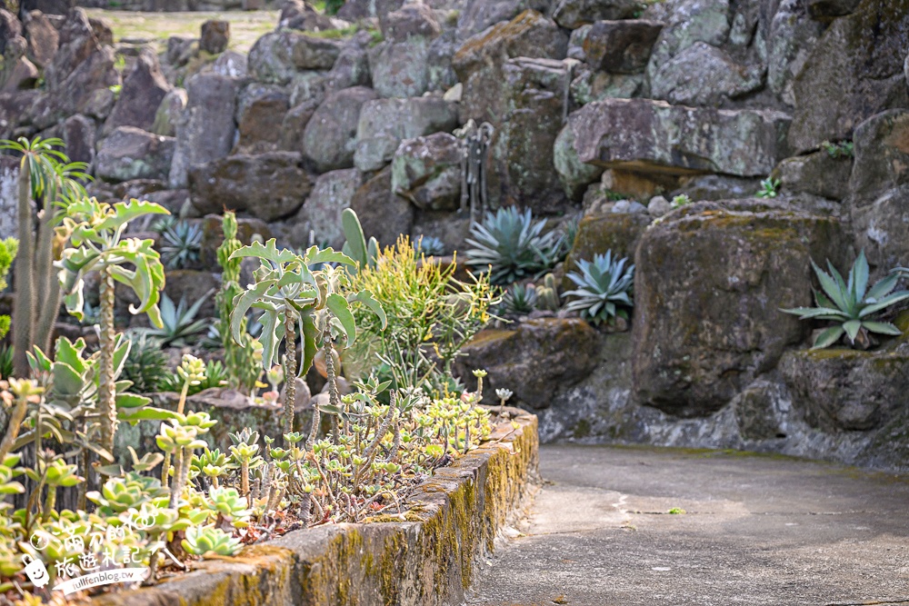 南投新景點【壹玖陸貳藝空間】臺灣檳榔文化特展.全新老屋藝術空間,走老宅,看特展,品嚐檳榔樹下的咖啡香!