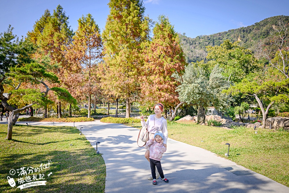 南投新景點【春秋山林】國姓山林後花園,泡足湯.吃美食.漫步日式松林庭院好愜意!