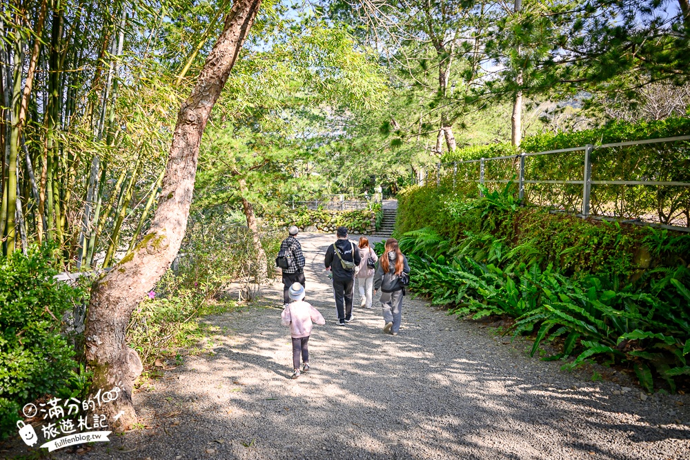 南投新景點【春秋山林】國姓山林後花園,泡足湯.吃美食.漫步日式松林庭院好愜意!