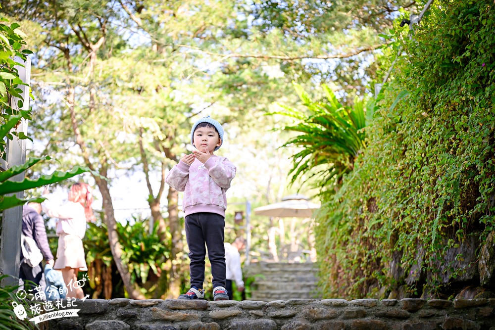 南投新景點【春秋山林】國姓山林後花園,泡足湯.吃美食.漫步日式松林庭院好愜意!
