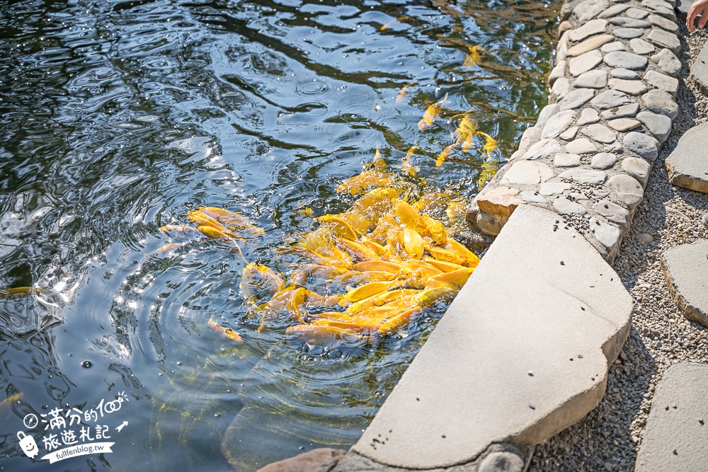 南投新景點【春秋山林】國姓山林後花園,泡足湯.吃美食.漫步日式松林庭院好愜意!