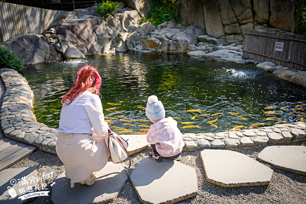 南投新景點【春秋山林】國姓山林後花園,泡足湯.吃美食.漫步日式松林庭院好愜意!