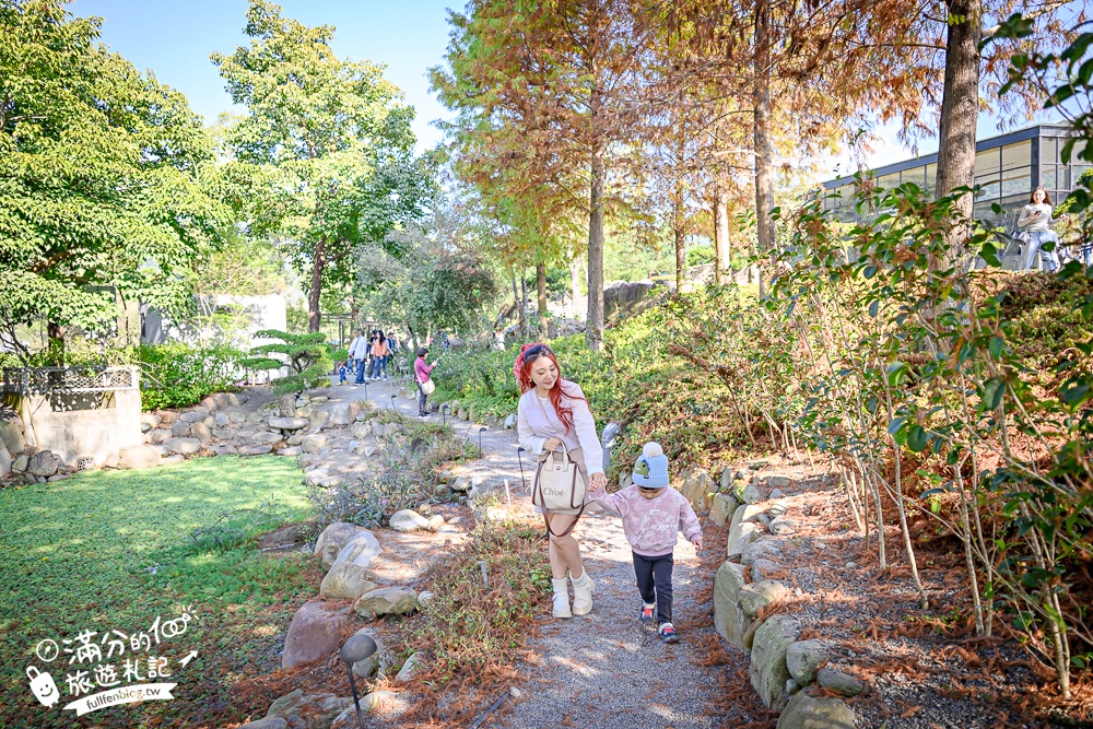 南投新景點【春秋山林】國姓山林後花園,泡足湯.吃美食.漫步日式松林庭院好愜意!