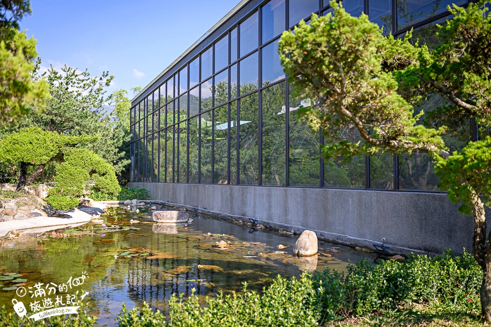 南投新景點【春秋山林】國姓山林後花園,泡足湯.吃美食.漫步日式松林庭院好愜意!
