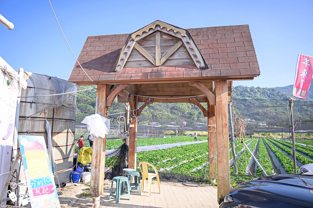 【2026國姓景點一日遊】TOP10國姓景點推薦,最新春秋山林.採草莓.橋聳雲天.燈籠階梯.水鹿咖啡.元寶土地公廟,南投美食景點攻略!